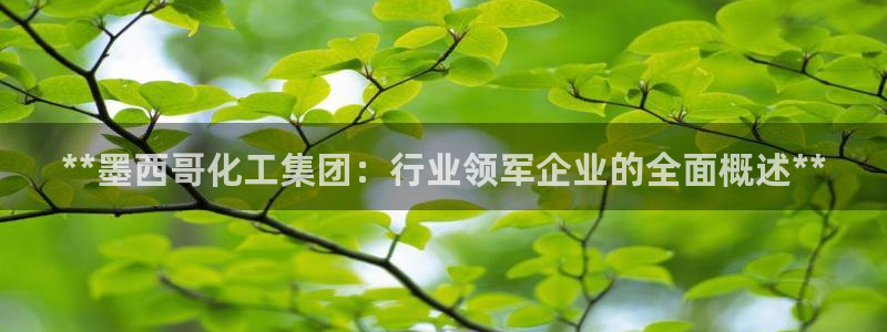 球盟会官方版下载地址：**墨西哥化工集团：行业领军企业的全面